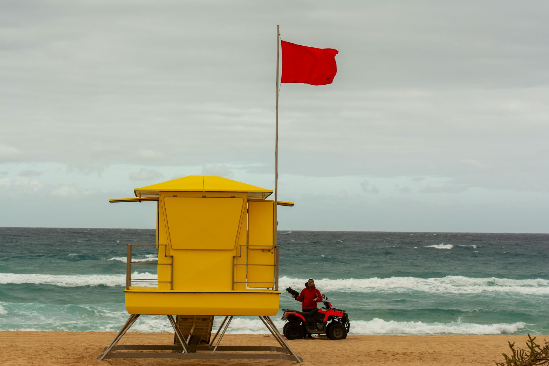 the lifeguard store